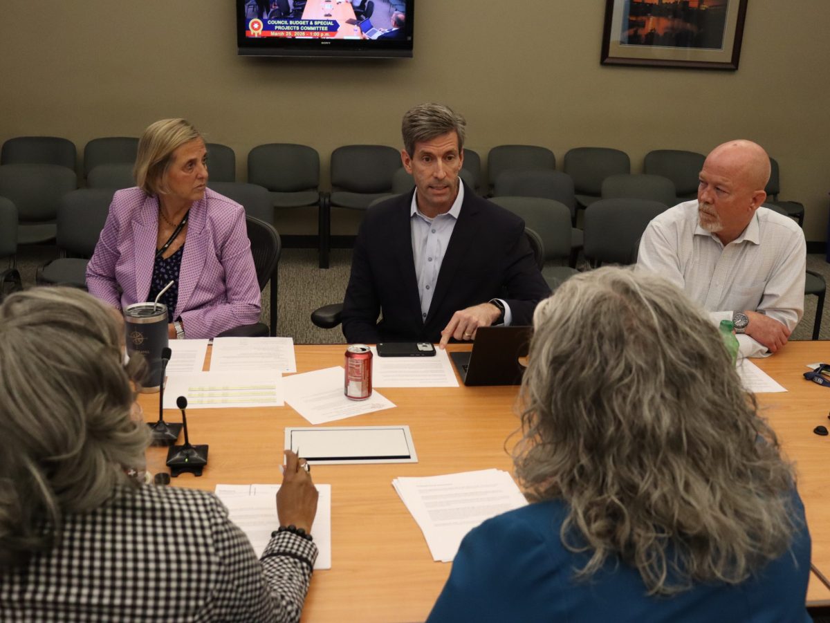 Council committee meeting