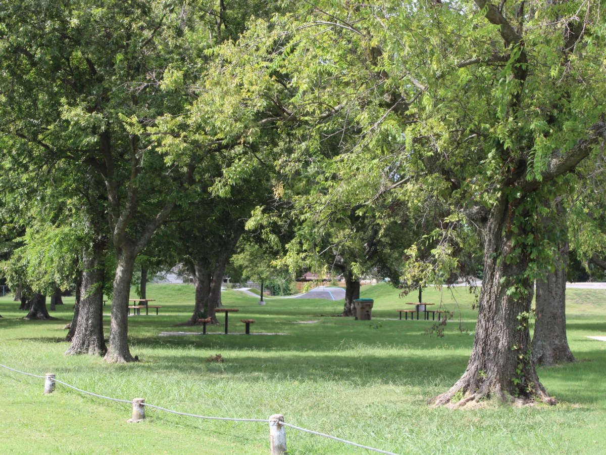 Tulsa’s allergy season is getting shorter, but more intense